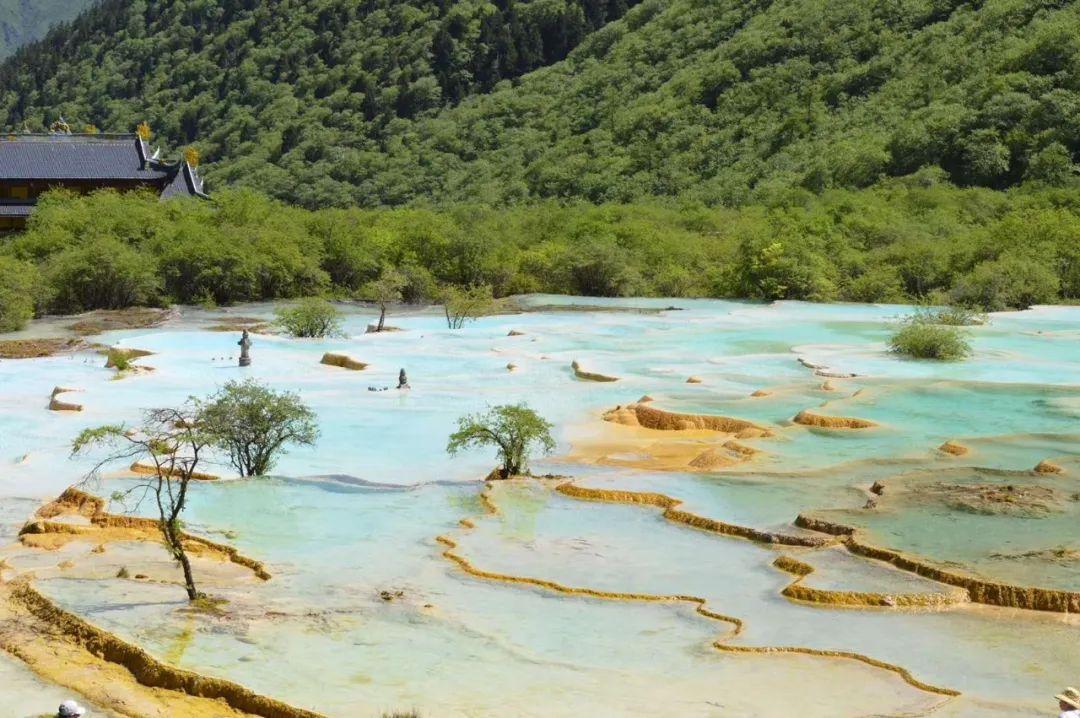 虫虫助手下载